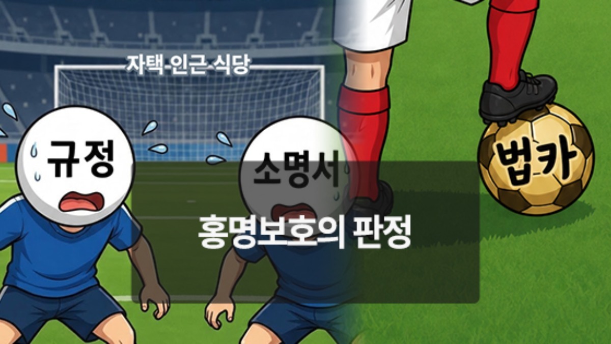 [위키만평] 홍명보호의 판정