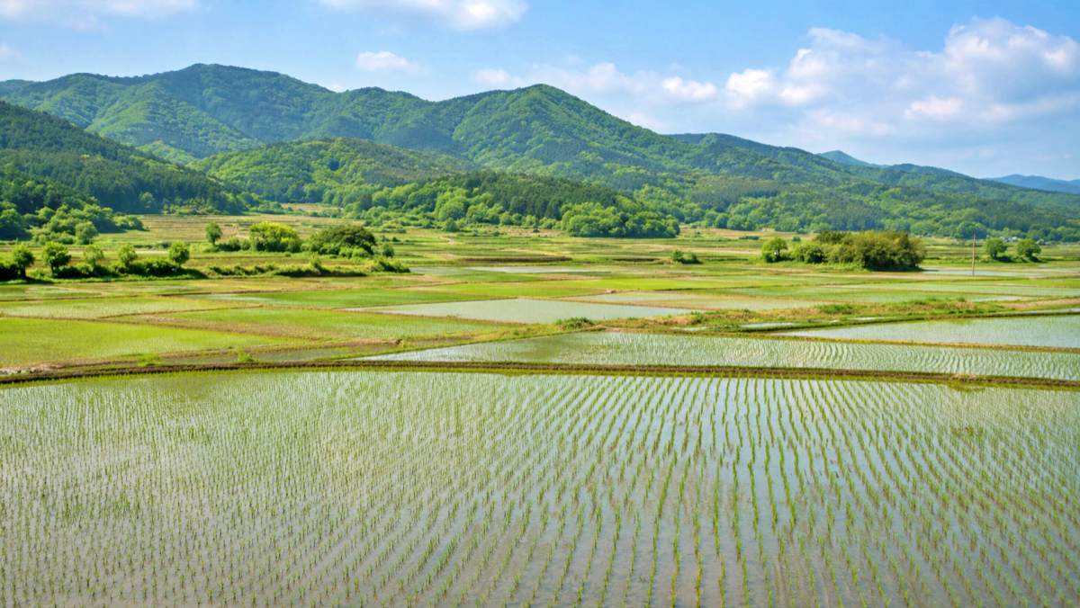 국민 10명 중 4명 가진 '이 자산'… 소유자 47만 명 늘었는데 세대당 면적은 감소
