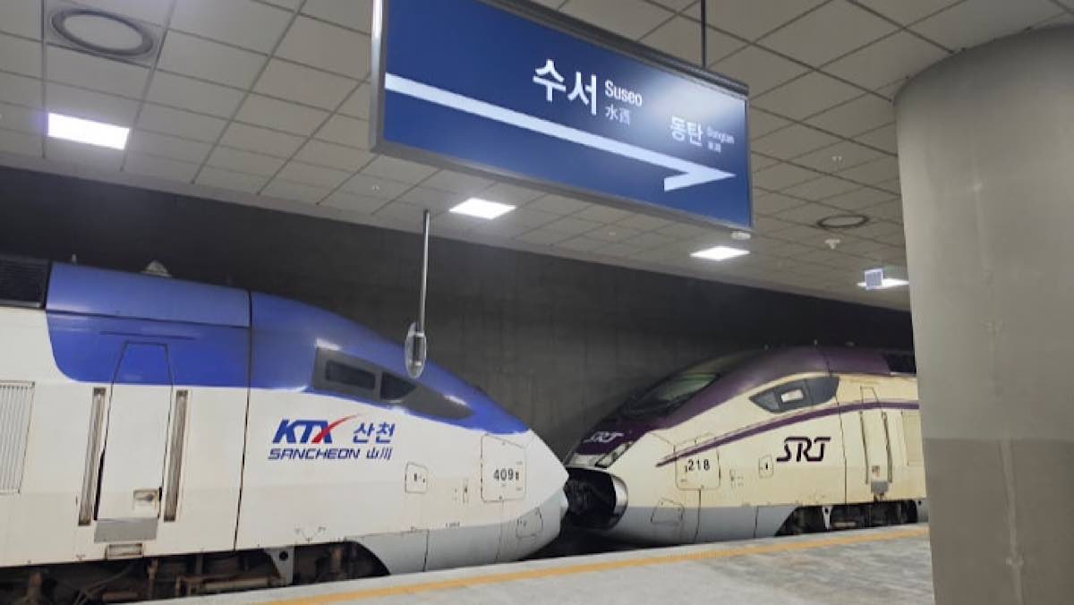 코레일·SR, 통합회원 조기 전환하면 KTX 20% 할인쿠폰 준다