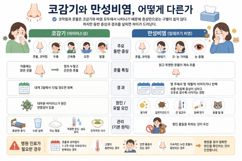 AI툴로 생성된 자료사진. 코감기와 비염은 증상만으로는 구별이 쉽지 않다. 하지만 동반 증상과 경과를 살피면 차이가 드러난다.