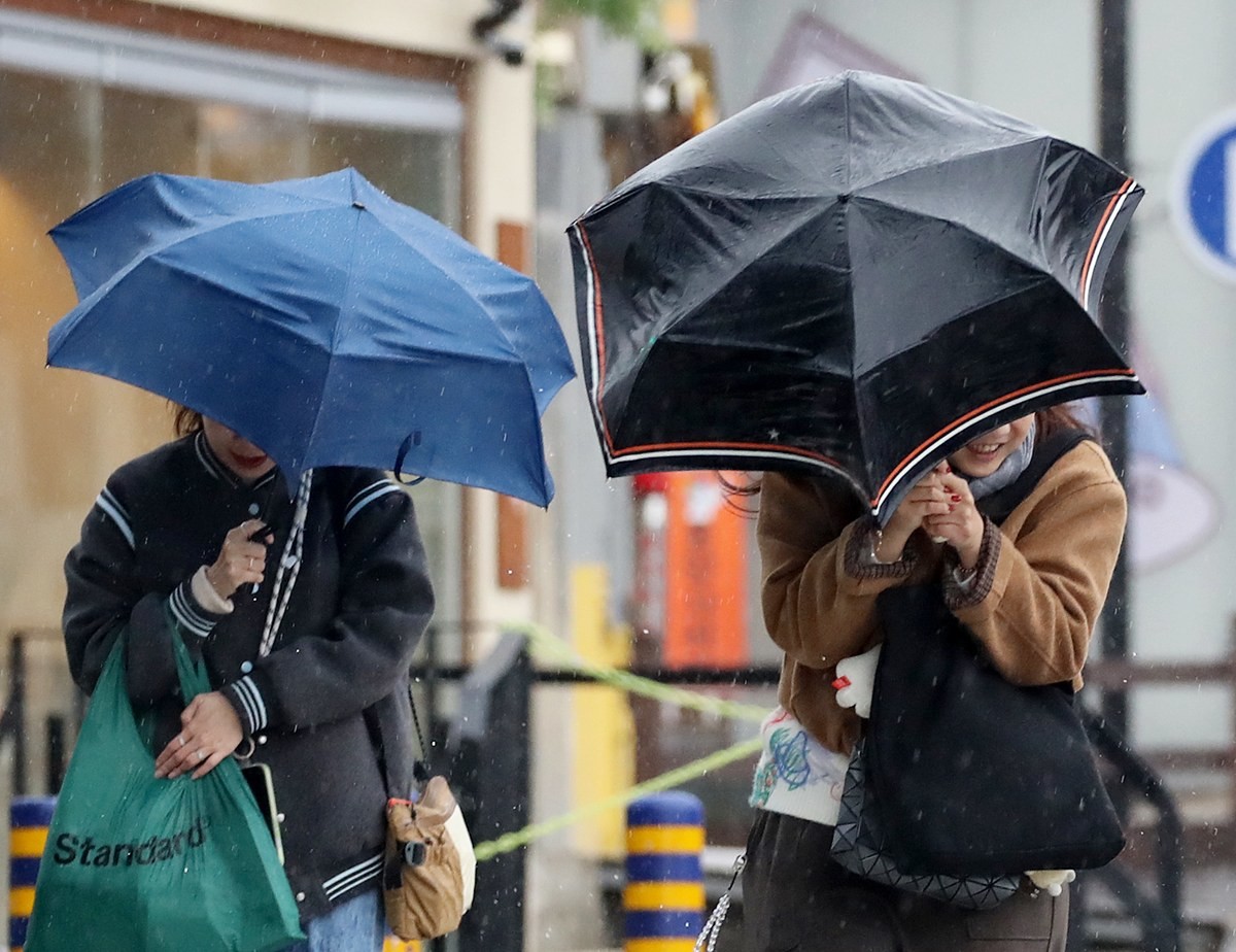 강풍에 우산을 부여잡고 힘겹게 발걸음을 옮기는 시민들 모습. 기사 이해를 돕기 위한 자료 사진. 기상청에 따르면 31일 오전 3시 현재 13호 태풍 돌핀은 가장 강력한 단계인 '강도 5'의 태풍으로 발달해 이동하고 있다. 태풍 강도 중 최고 단계인 '강도 5'는 중심 최대 풍속이 54㎧(시속 194㎞) 이상인 경우로 과거에는 '초강력 태풍'으로 불렀다. / 뉴스1