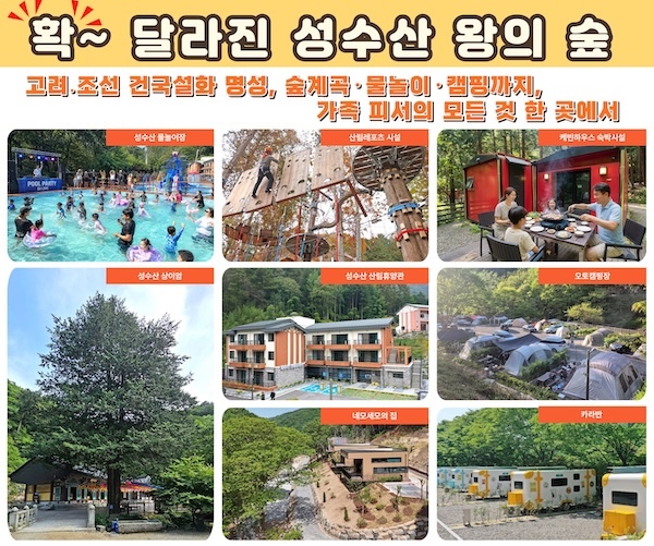 임실군, 확 달라진 성수산 왕의 숲 자연휴양림 여름휴가철 큰 인기  