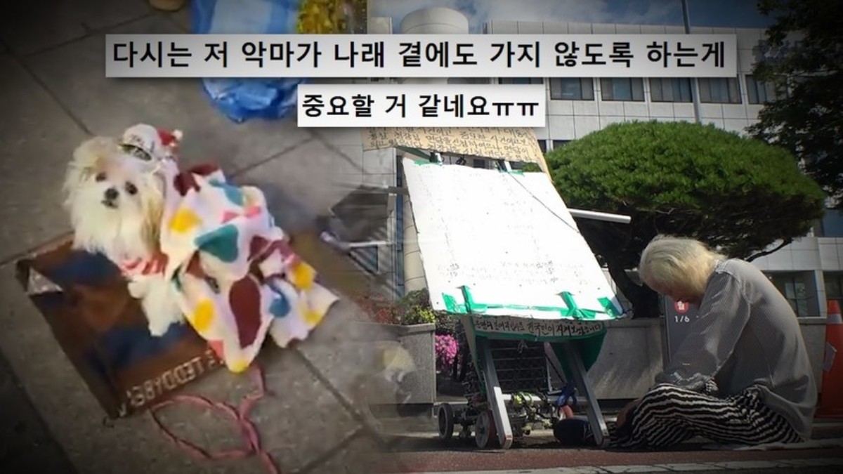 SBS ‘궁금한 이야기 Y’ 미리보기 페이지에서 제공하는 자료 사진. / SBS 제공