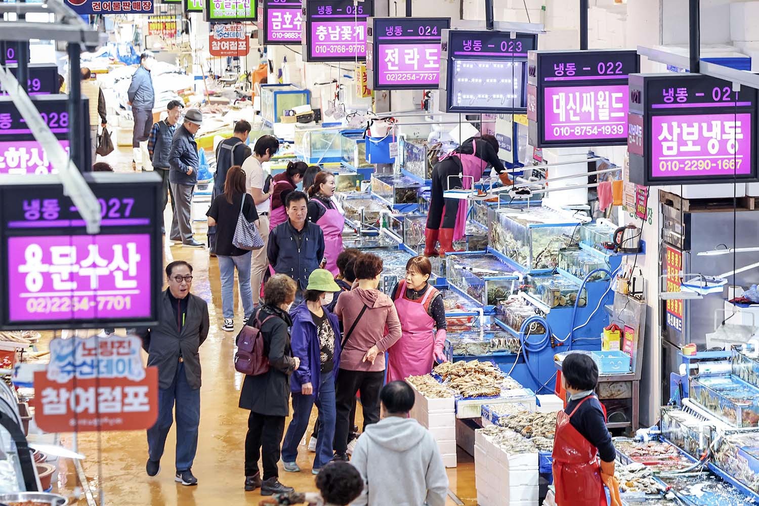 노량진 수산시장 / 뉴스1