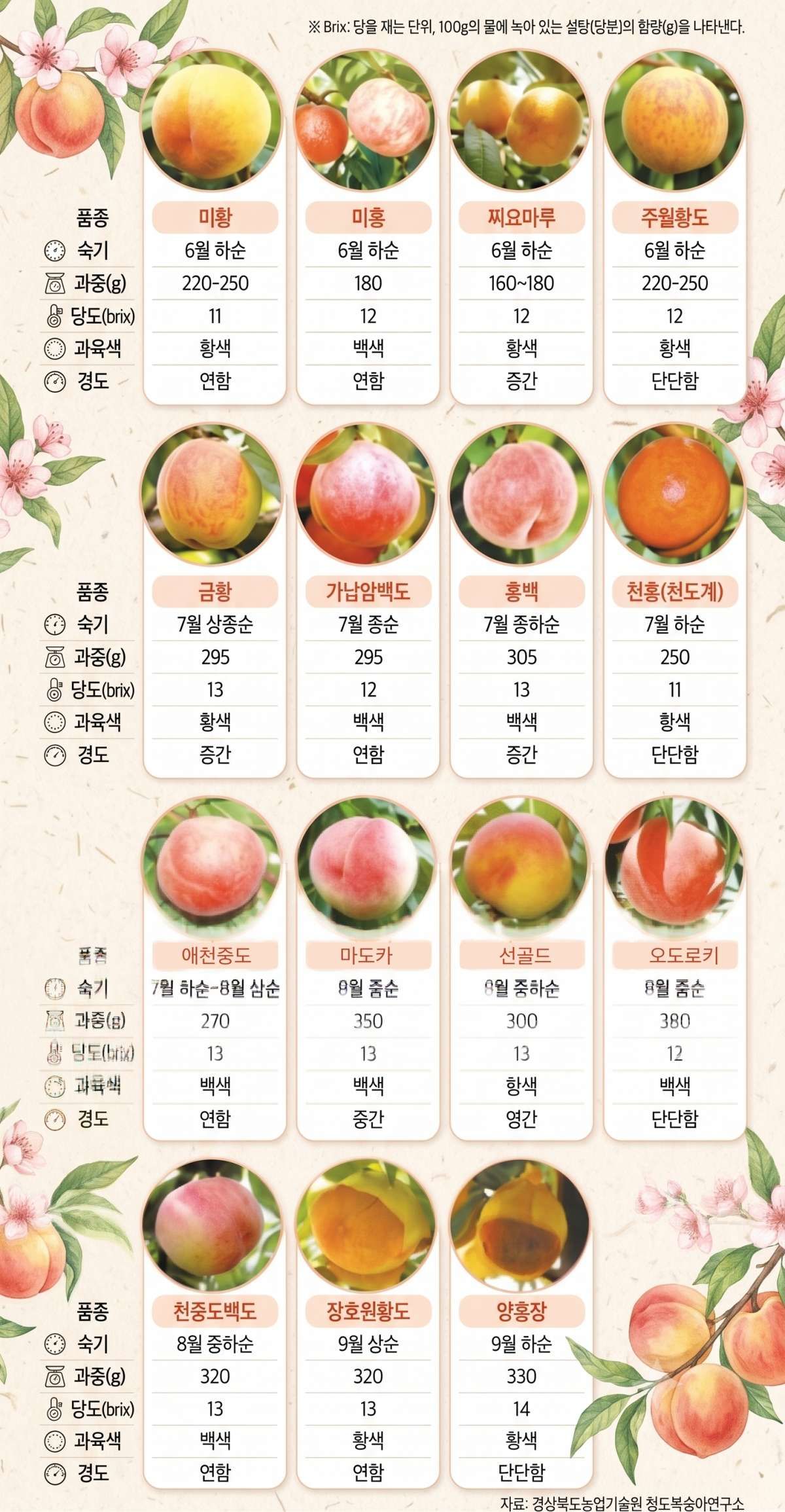 다양한 복숭아 종류. 기사 내용 토대로 AI툴 활용해 제작한 자료사진.
