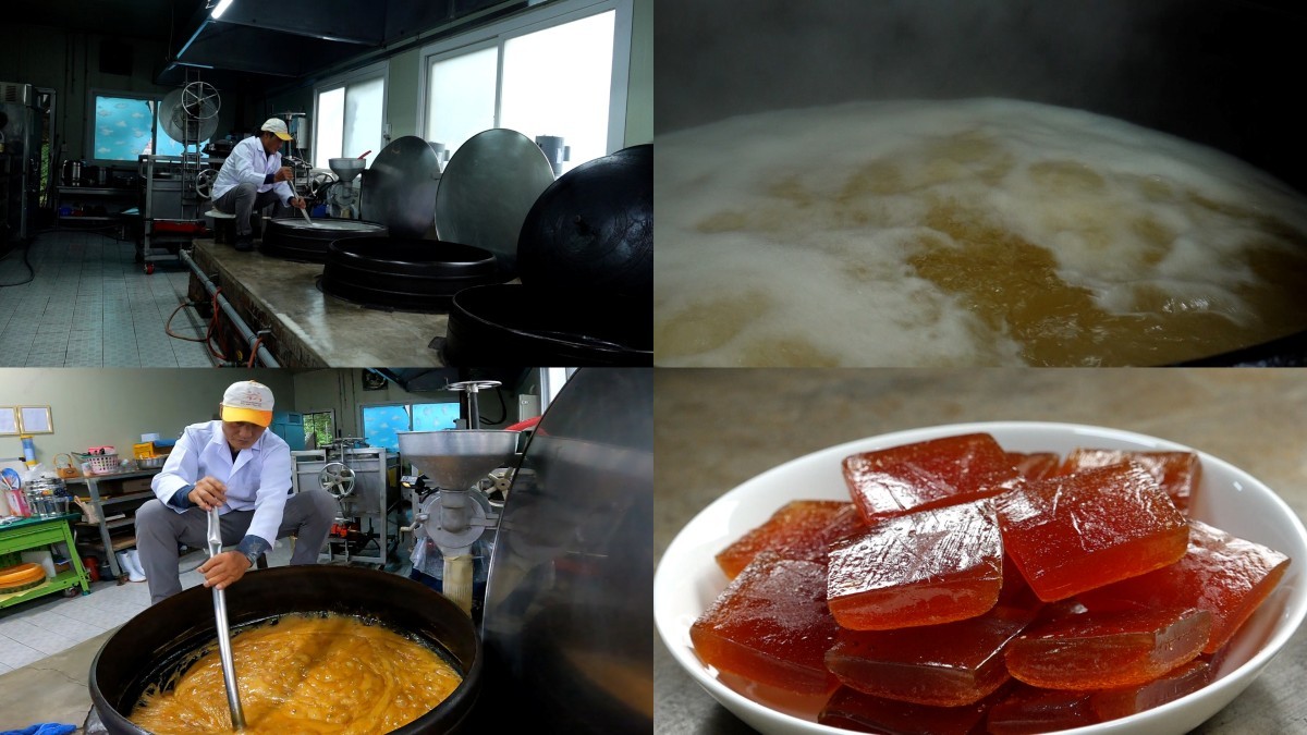EBS1 '극한직업' 미리보기 페이지에서 제공하는 '여름에 맛보다! 옥수수 열전'편 자료 사진 / EBS 제공