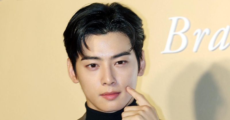 “냈는데, 돌려달라” 세금 130억 납부했던 차은우, 불복 청구  