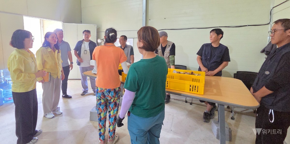 전남 보성군이 지역 내 취약계층의 생명과 안전을 지키기 위해 전방위적인 폭염 방어선을 구축하고 나섰다. / 보성군