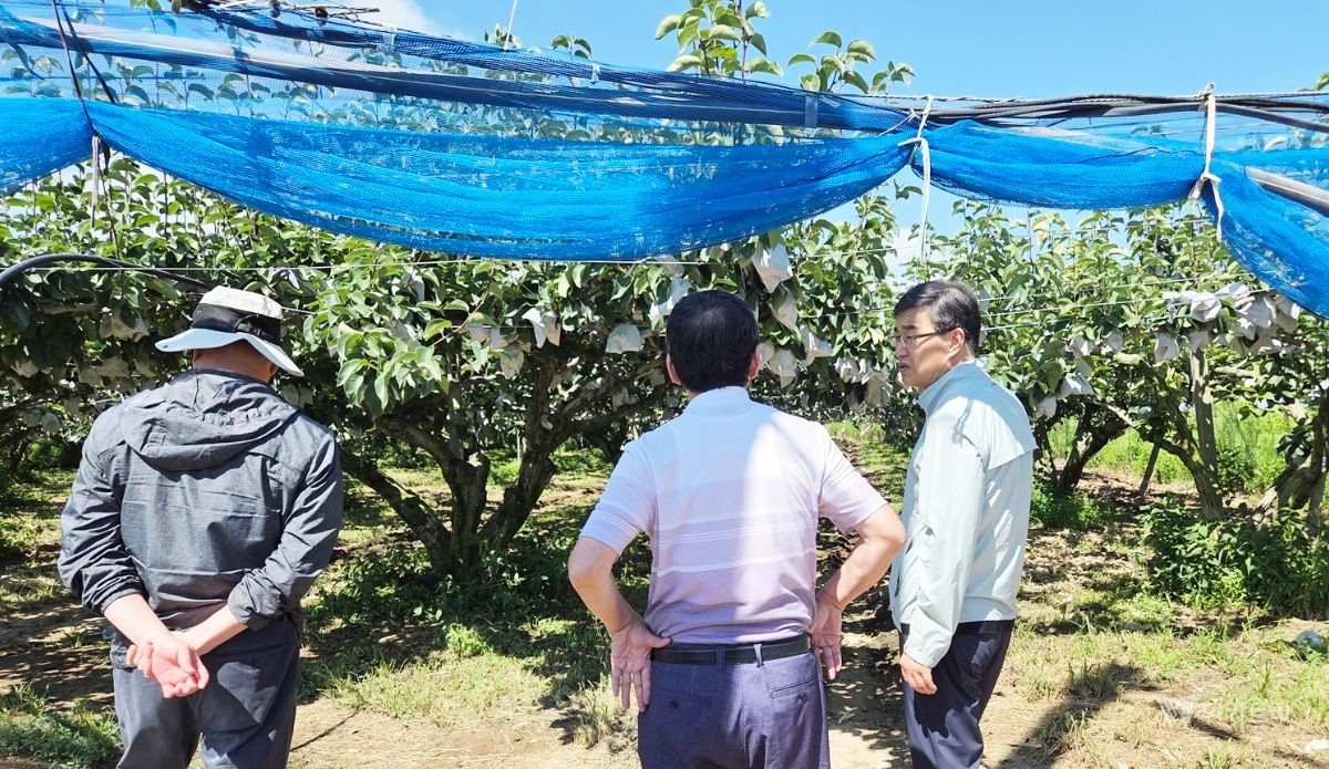 나주시가 지난달 31일 농축산 현장을 방문해 폭염 대응 상황을 점검하고 농업인들의 애로사항을 청취했다. / 나주시