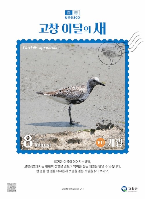8월 고창갯벌 이달의 새 선정 / 고창군