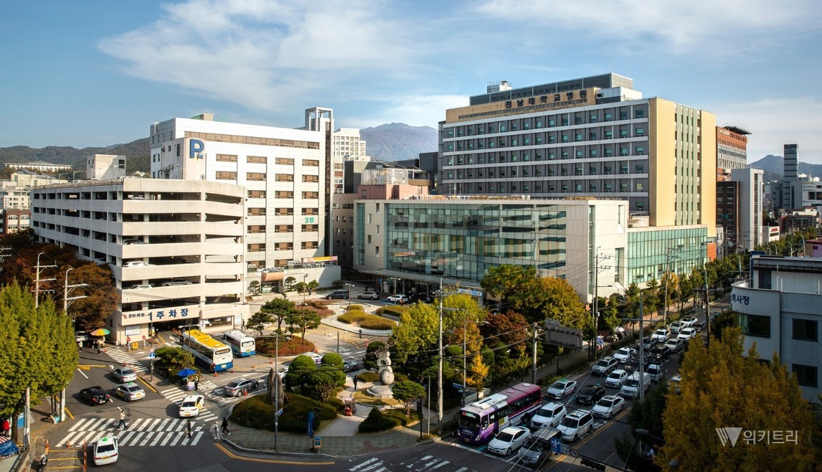 전남대병원, 뇌졸중 치료 성과 입증…실제 사망률 예측치 크게 밑돌아