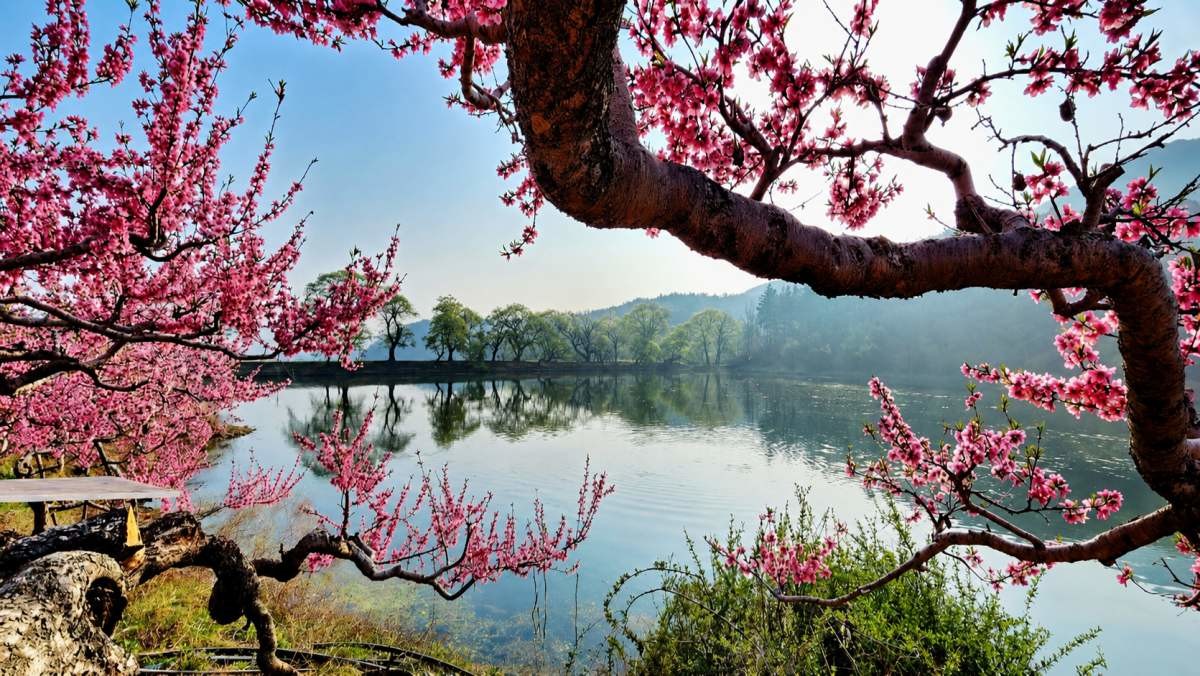 경산 반곡지. / ⓒ한국관광콘텐츠랩