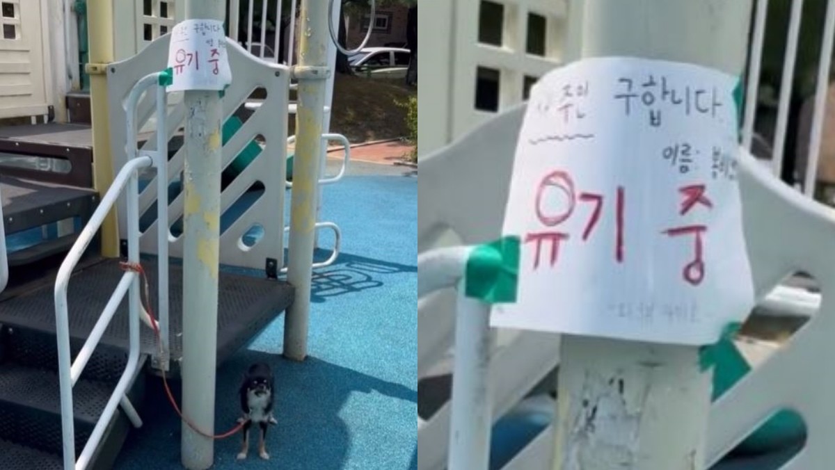 지난 1일 충북 청주시 서원구의 한 공원 놀이터에 반려견이 묶여 있는 모습. / 스레드 계정 ‘@gae___nari’ 게시물 캡처.