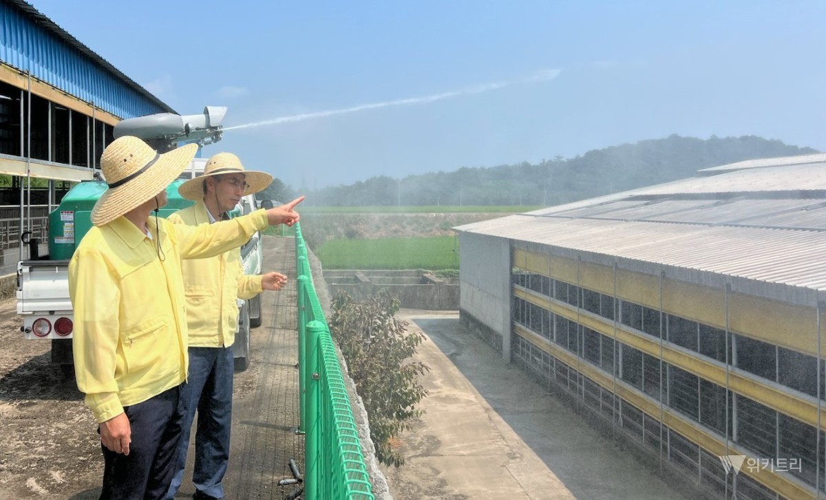보성군, 폭염 속 축산농가 보호 총력…가축 피해 최소화 나선다