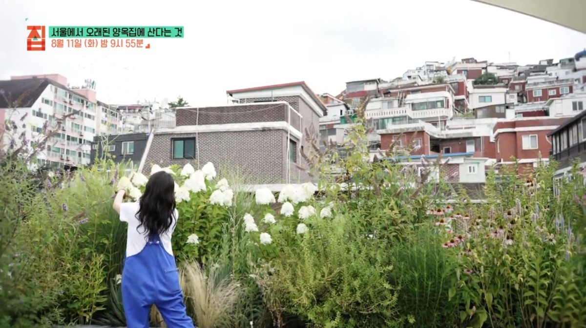 EBS1 ‘건축탐구 집’ 예고보기 페이지에서 제공하는 자료 사진. / EBS 제공