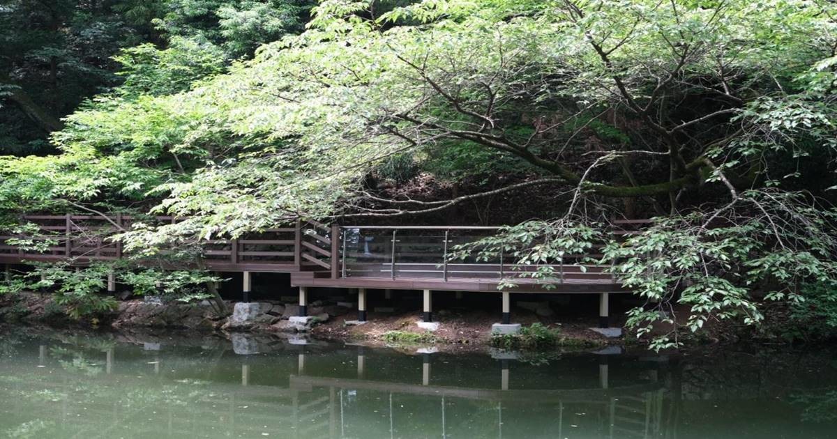 이번 촬영에서는 짙어진 녹음과 숲길, 수목, 물놀이 공간 등 한여름 어린이대공원의 다양한 모습이 참가자들의 카메라에 담겼다. / 사진제공=부산시설공단