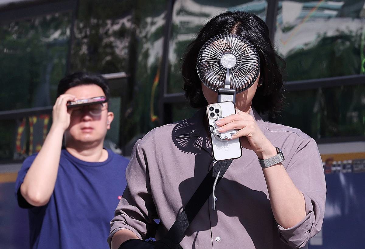 기록적 폭염 / 뉴스1