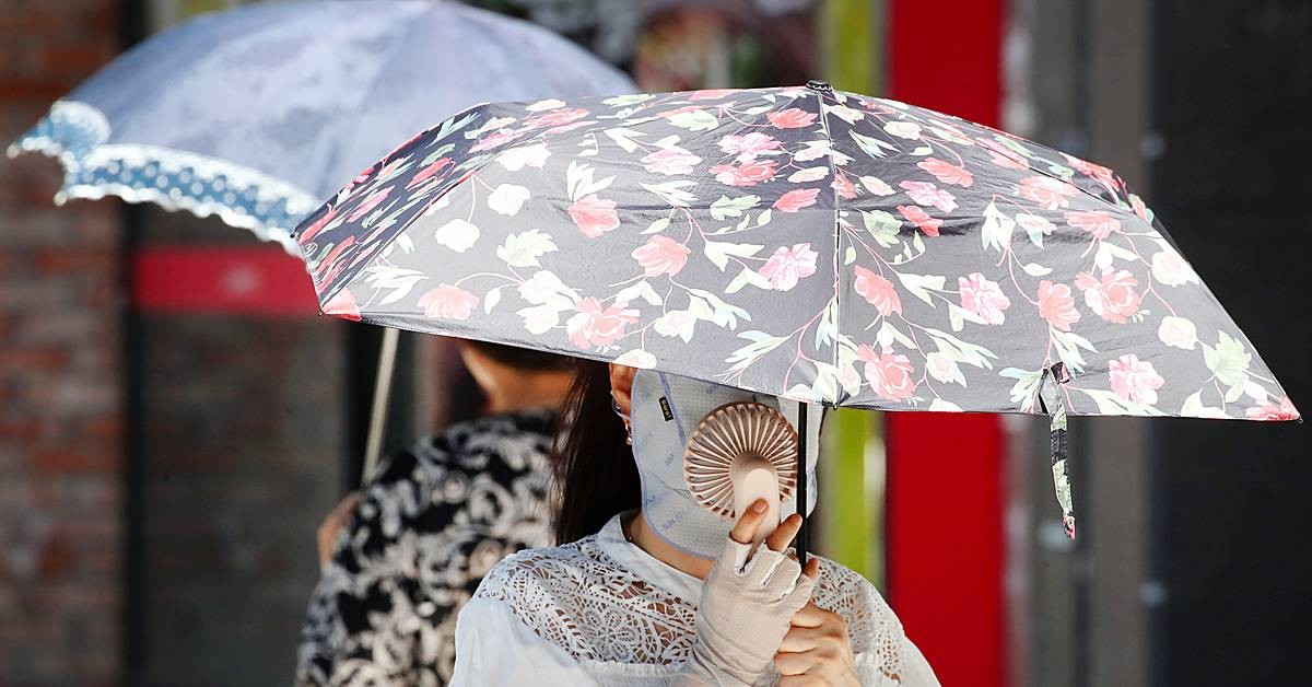 대구 중구 동성로에서 시민들이 양산으로 뙤약볕을 가린 채 발걸음을 재촉하고 있다 / 뉴스1