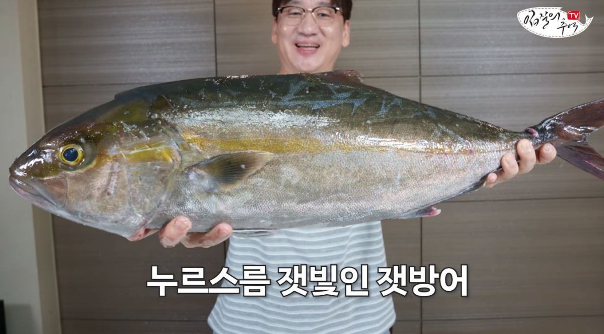 누르스름한 잿빛의 잿방어. / 유튜브 '입질의추억TV jiminTV'