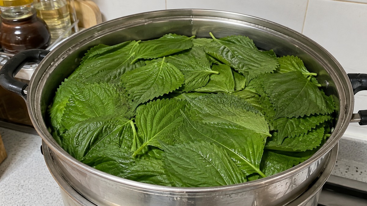깻잎은 찜통에 한가득 '5분만' 넣어보세요…반찬 가게까지 갈 필요가 없네요