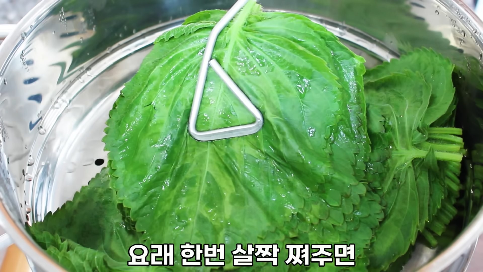 한 요리 유튜브 채널에서 깻잎을 찜통에 5분간 조리해 깻잎찜을 만드는 과정을 소개했다. / 유튜브 '집밥 korean home cooking'