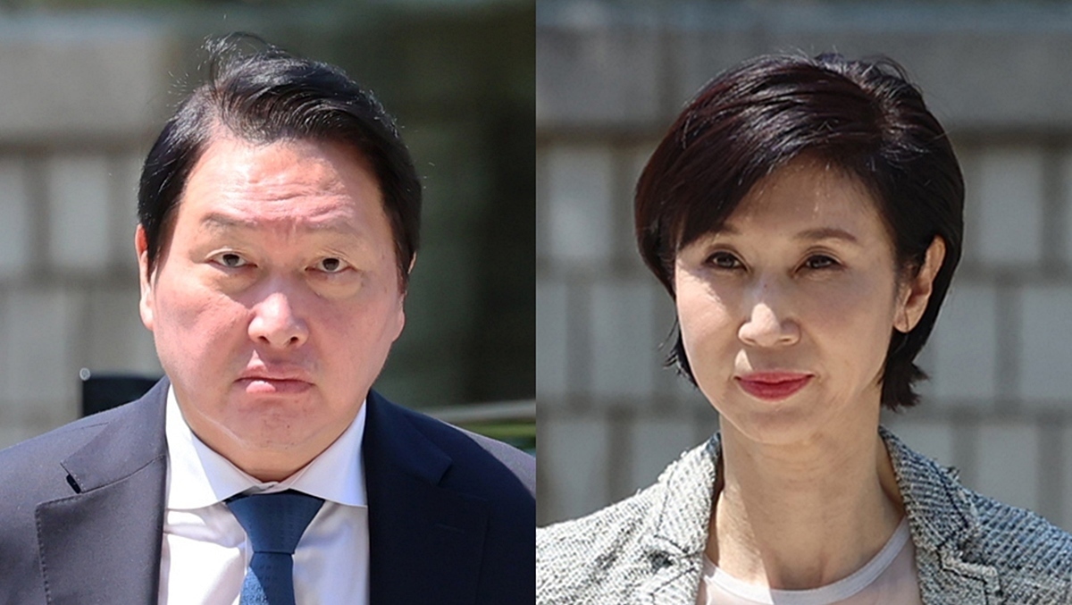 [속보] 최태원, 노소영에 '재산분할 9440억 지급' 판결 불복 재상고…다시 대법원행