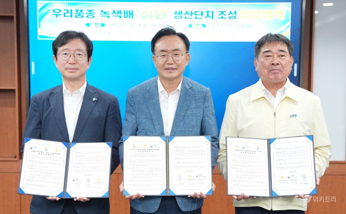 나주시, 녹색배 '설원' 품고 명품 과일 새 역사 쓴다