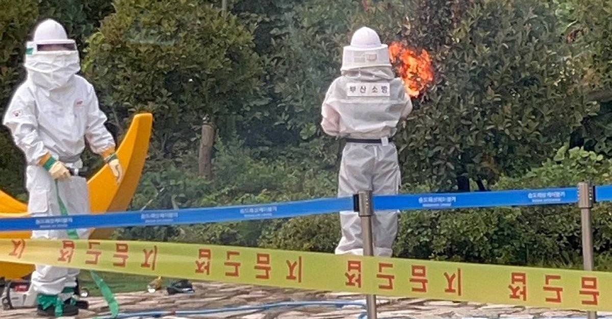 대낮 부산 송도해상케이블카 입구서 벌어진 일…영유아 포함 15명 부상