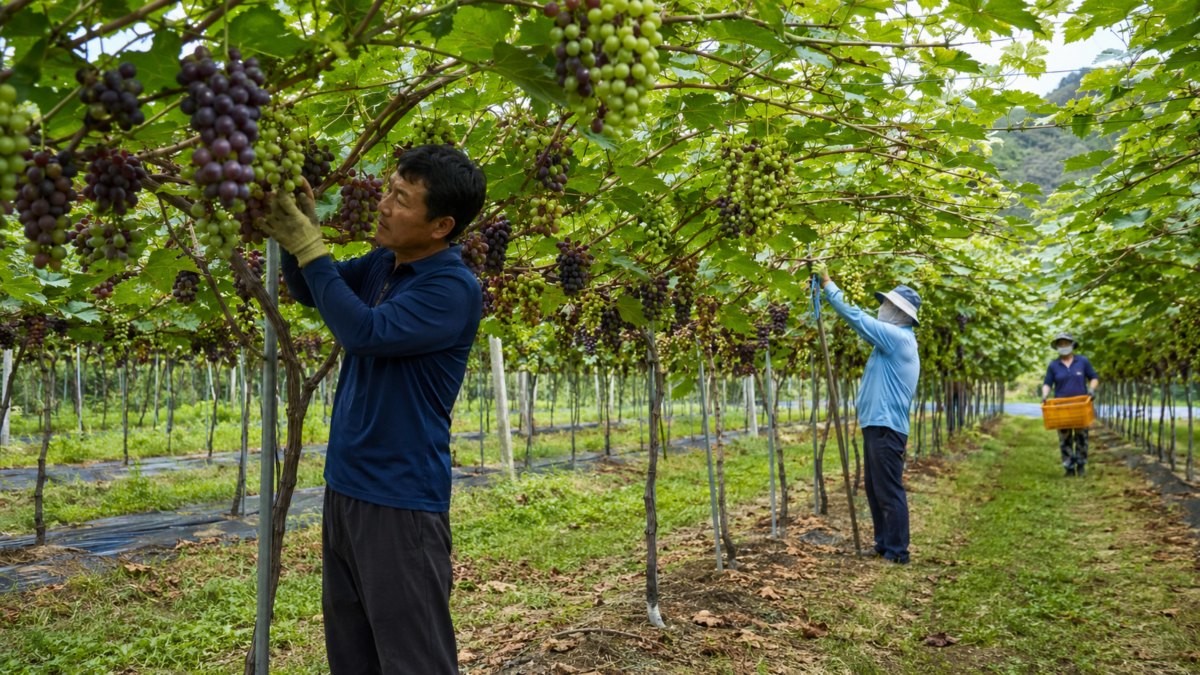 기사 이해를 돕기 위해 AI툴로 생성한 자료사진. (기사 속 축제와 직접적인 연관은 없음을 밝힙니다.)