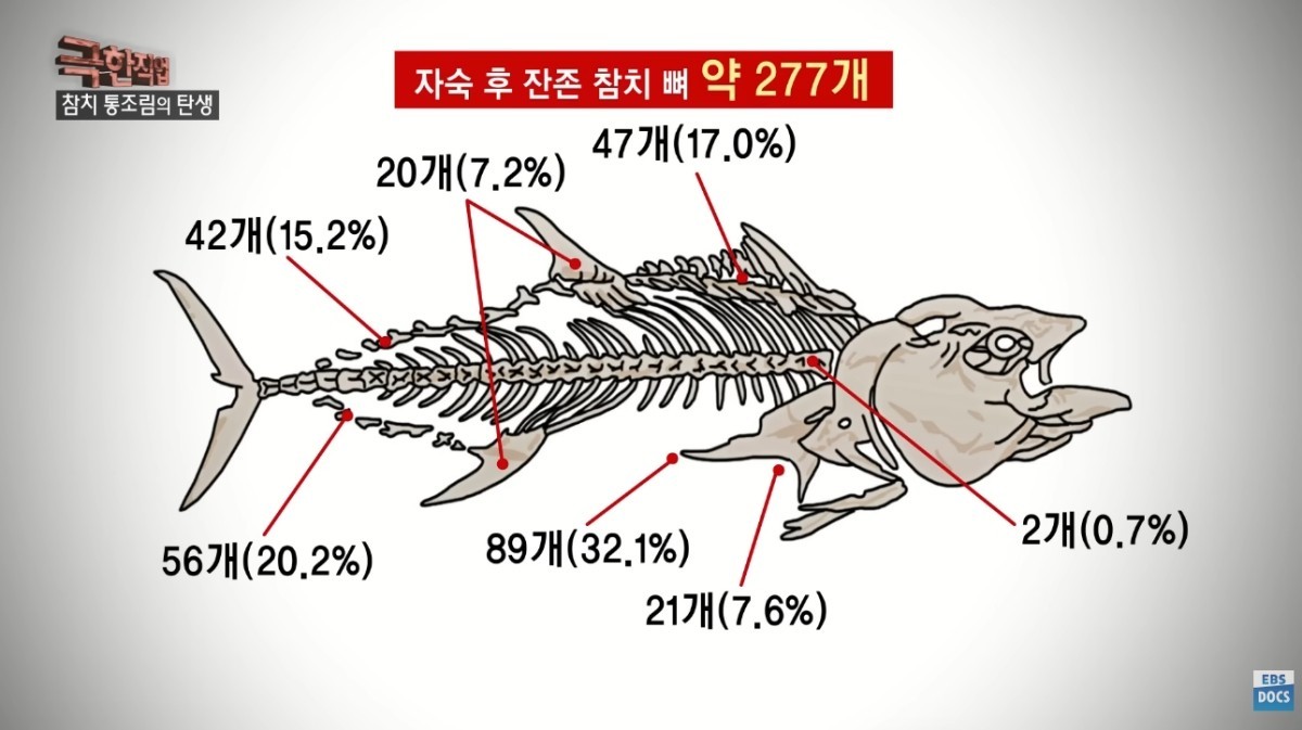참치에 있는 수많은 가시들. / 유튜브 'EBSDocumentary (EBS 다큐)'