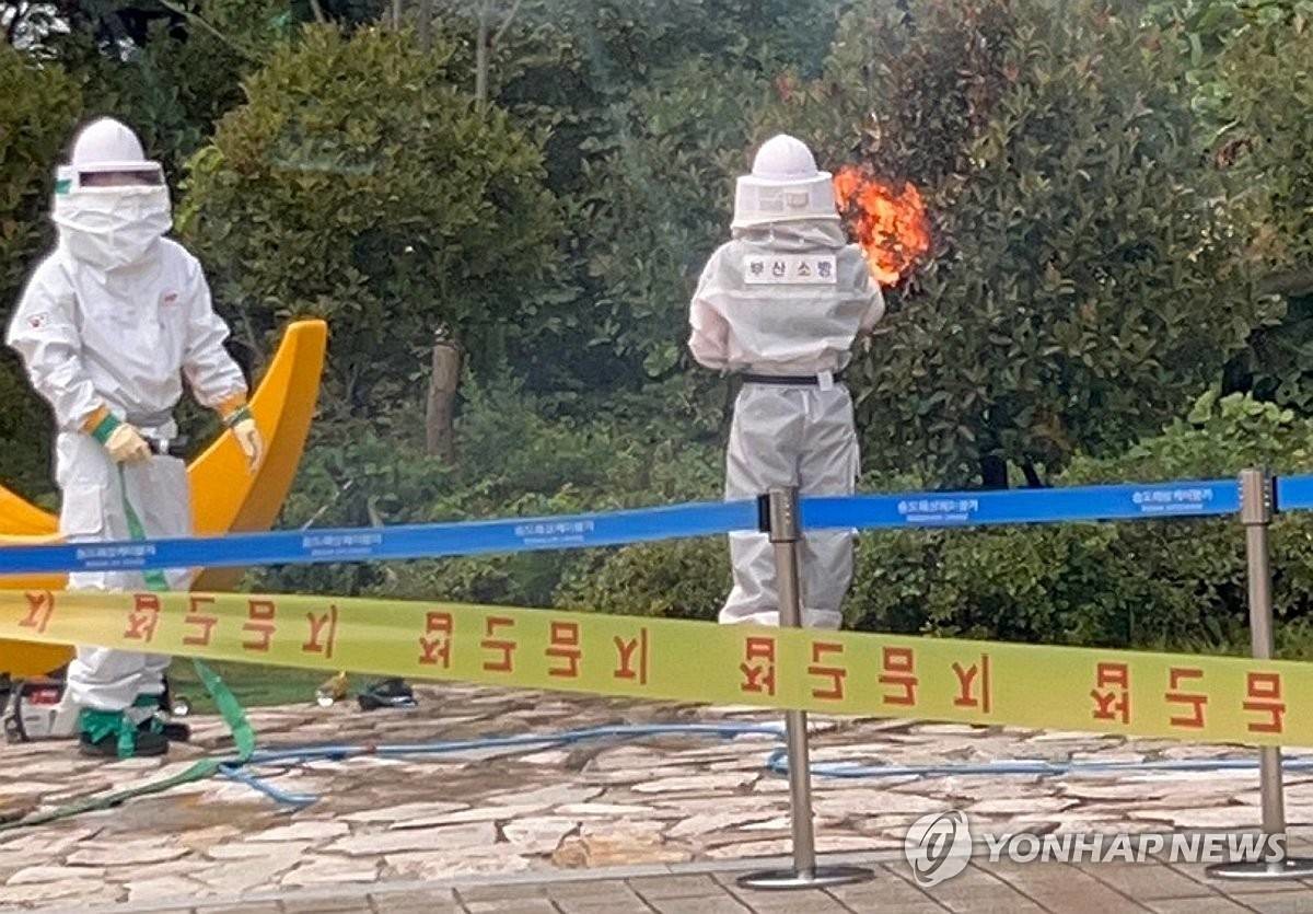 18일 부산 서구 송도 해상케이블카 인근에서 벌 쏘임 사고가 발생해 소방관들이 벌집을 제거하고 있다 / 부산소방재난본부 제공, 연합뉴스