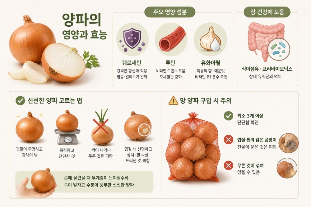[인포그래픽] 기사를 바탕으로 AI툴로 생성된 자료사진.