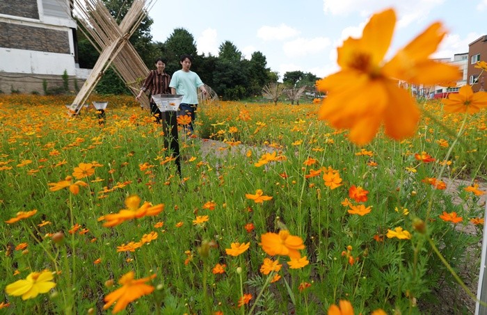 기사의 이해를 돕기 위한 사진 / 뉴스1