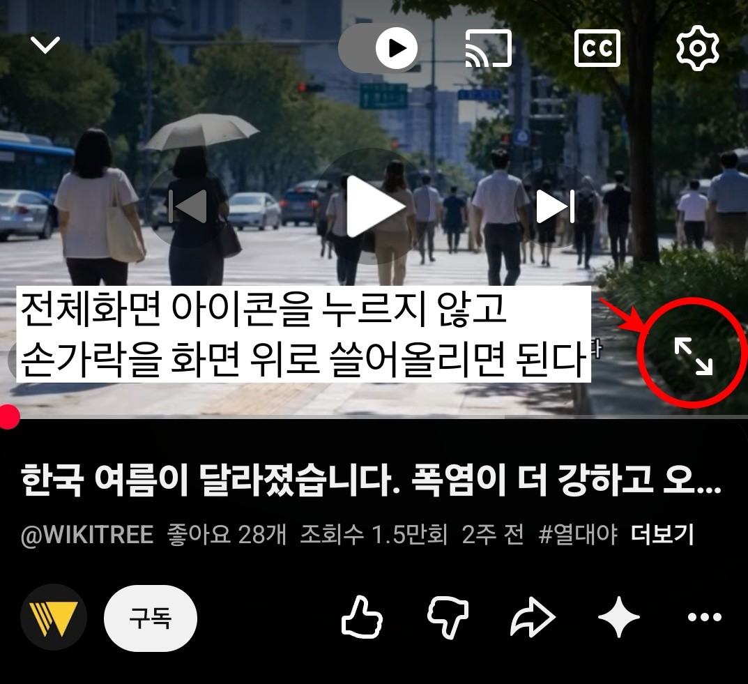 유튜브 전체화면 화살표 아이콘을 클릭하지 않고 영상을 손가락으로 위 혹은 아래를 쓸어주면 전체화면과 기본화면을 오갈 수 있다. 자료사진은 유튜브 채널 '위키트리' 캡쳐를 활용함. / 위키트리