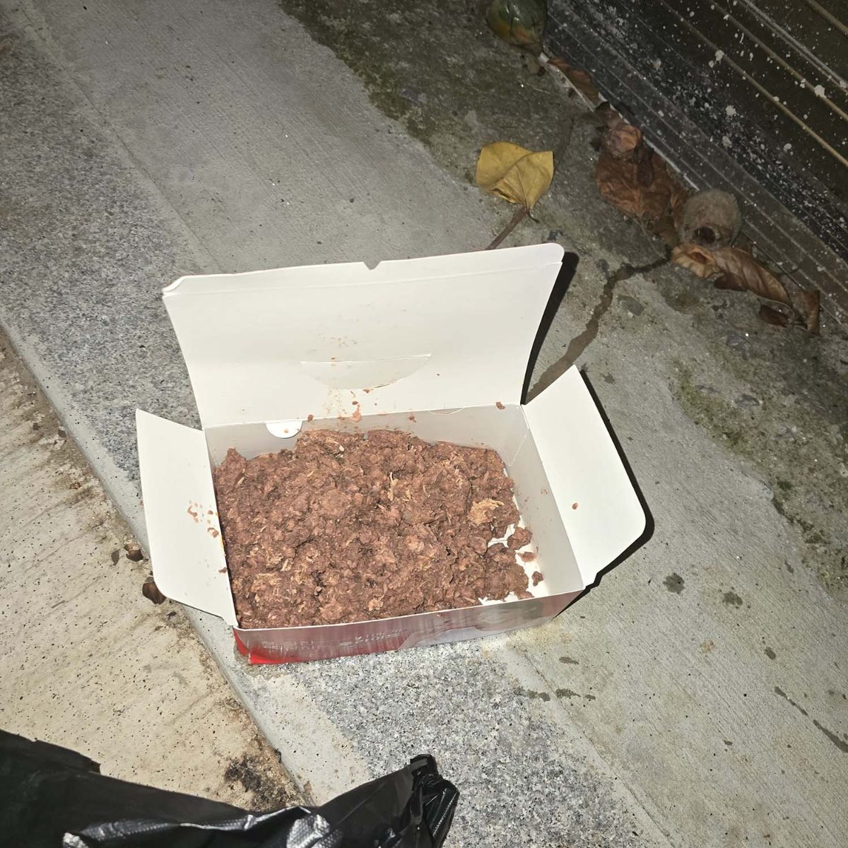 글쓴이가 캣맘 집 앞에 놓은 고양이 먹이. / 스레드