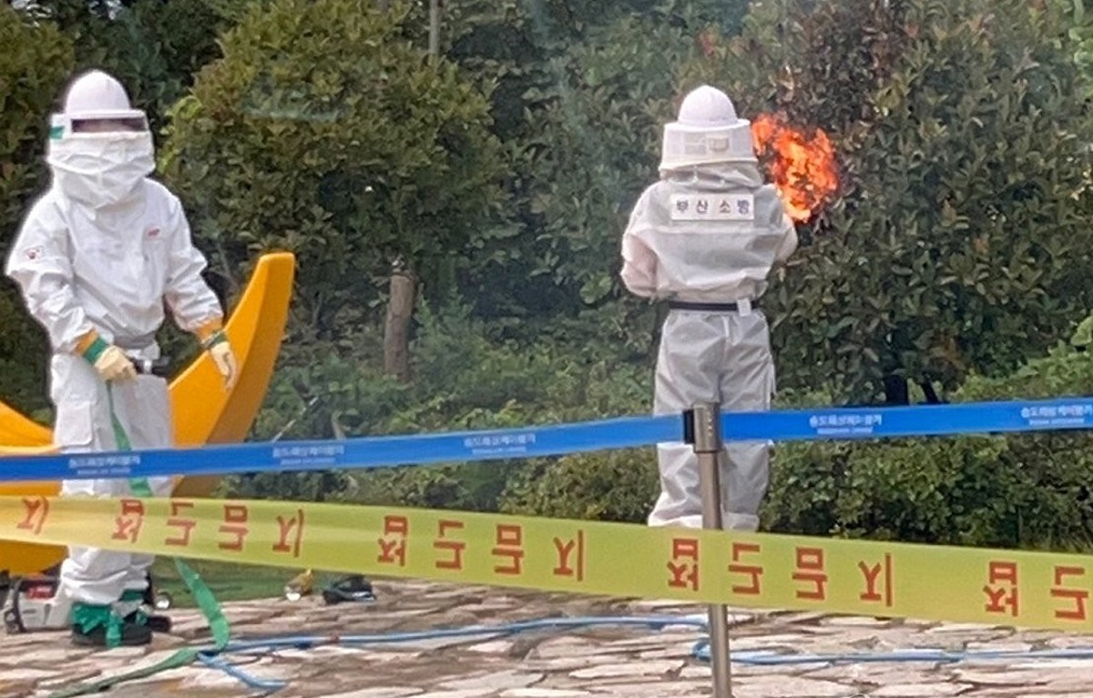 이틀 새 무려 17명, 8월에만 43명 환자 속출…부산서 난리 났다는 '이것'  
