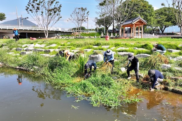 순창군, 경천 가을꽃 경관조성 앞두고 환경정비 나서