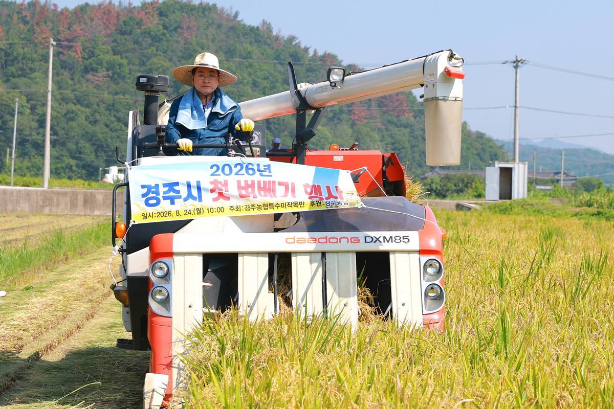 [포토뉴스]경주서 올해 첫 벼베기 시작
