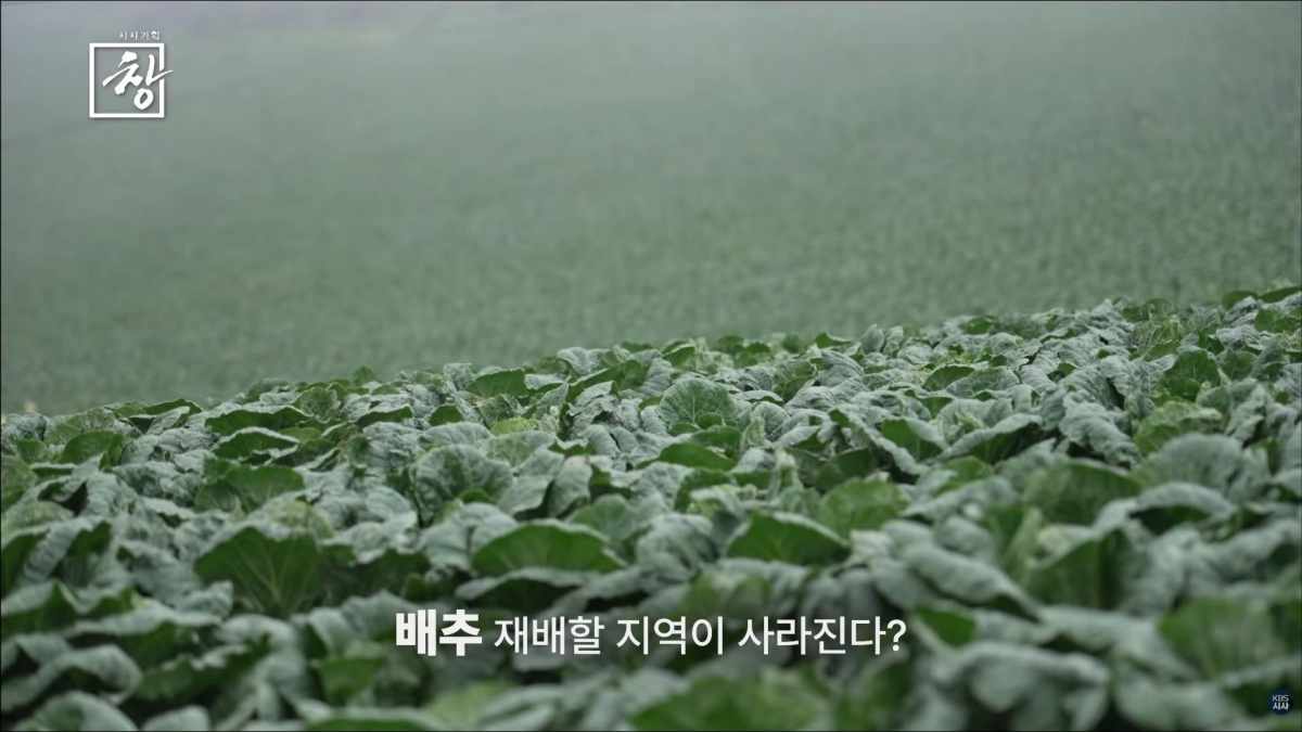 ‘시사기획 창’, 이러다 먹거리까지 사라진다…폭염이 바꾼 대한민국 식탁