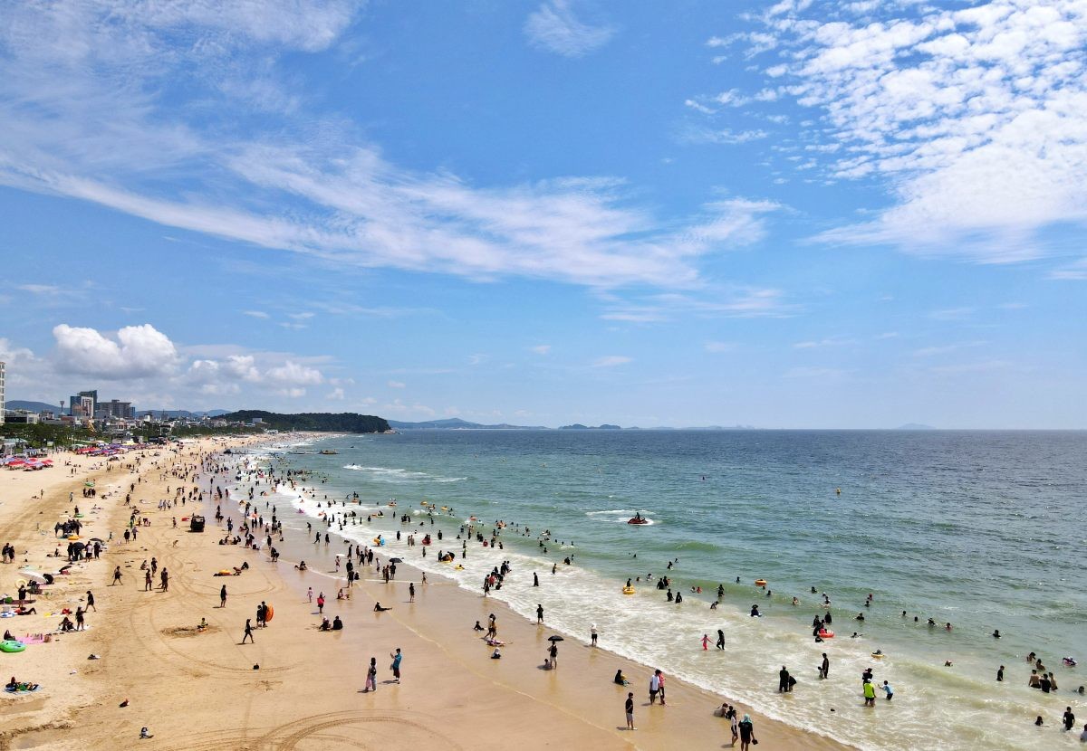 대천해수욕장을 찾은 인파. / 뉴스1