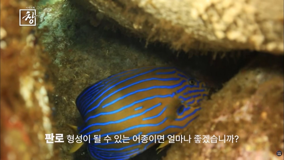 KBS 1TV ‘시사기획 창-땡볕 아래’ 예고편. / KBS 제공