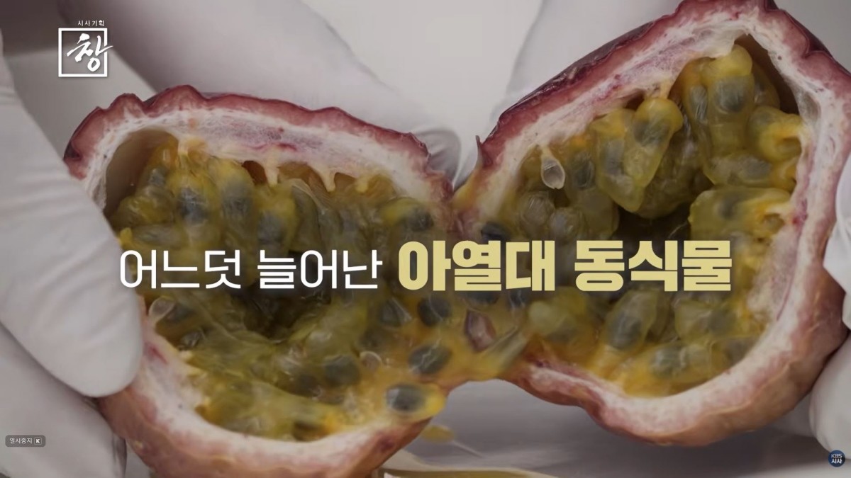 KBS 1TV ‘시사기획 창-땡볕 아래’ 예고편. / KBS 제공
