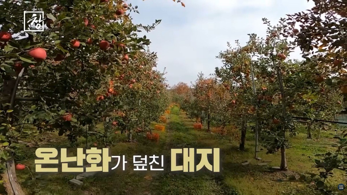 KBS 1TV ‘시사기획 창-땡볕 아래’ 예고편. / KBS 제공