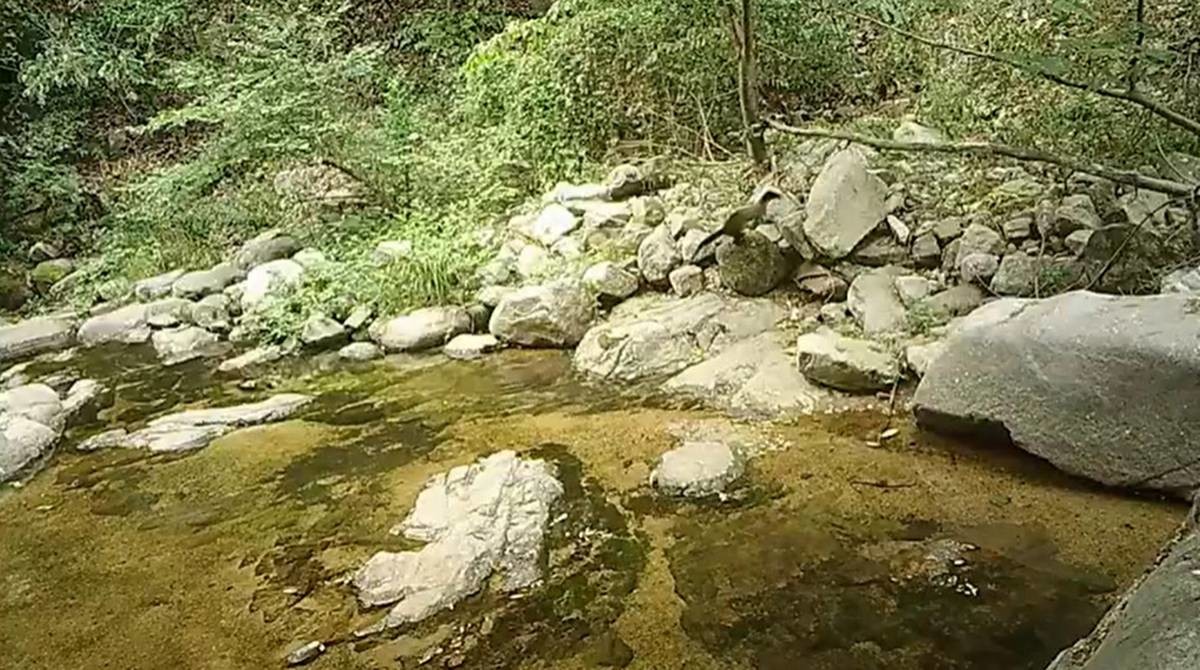 팔공산 계곡 무인카메라에 찍힌 담비 / 국립공원공단 제공