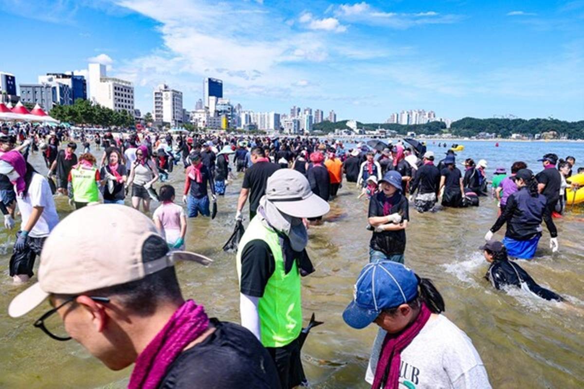 포항 영일대해수욕장 '황금물고기잡기' 행사 자료 사진/포항시