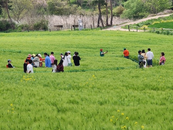 고창 반띵여행 / 고창군