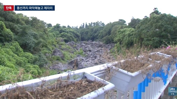 유튜브 'JTBC News'