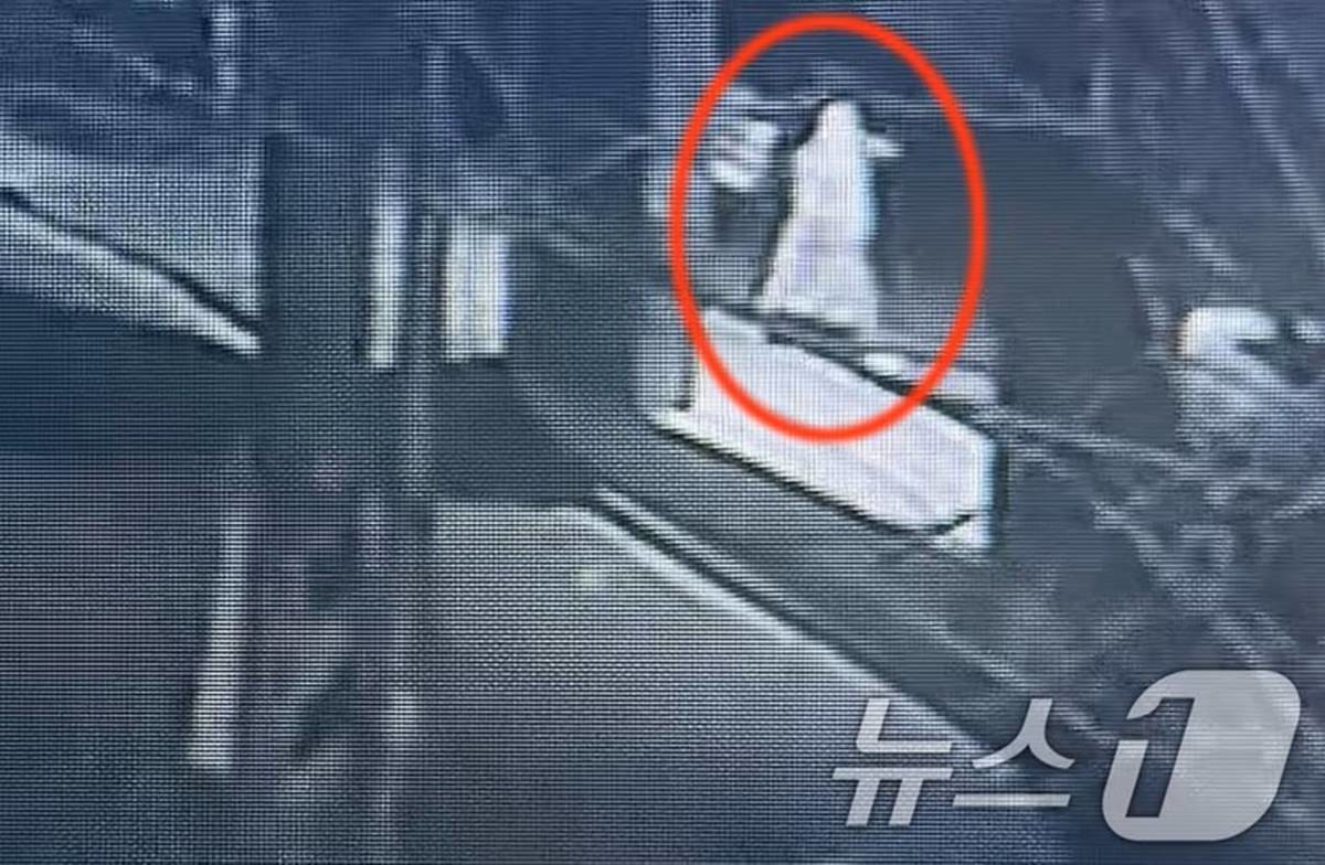 지난 20일 오전 2시쯤 20대 중국인 유학생이 경북 경산시 하양읍 A 씨의 주거지로 들어가는 모습이 인근 건물 폐쇄회로(CC)TV에 찍혔다 / 뉴스1