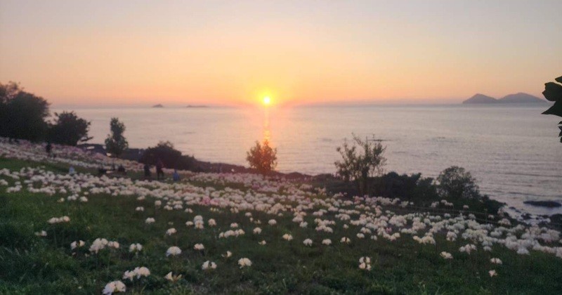 부안군