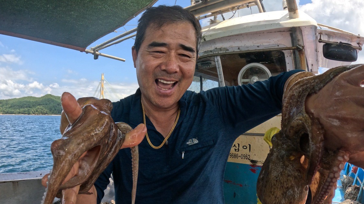 KBS2 ‘2TV 생생정보’ 2602회 ‘지금이 딱~ 제철!’ 방송 장면. / KBS 제공